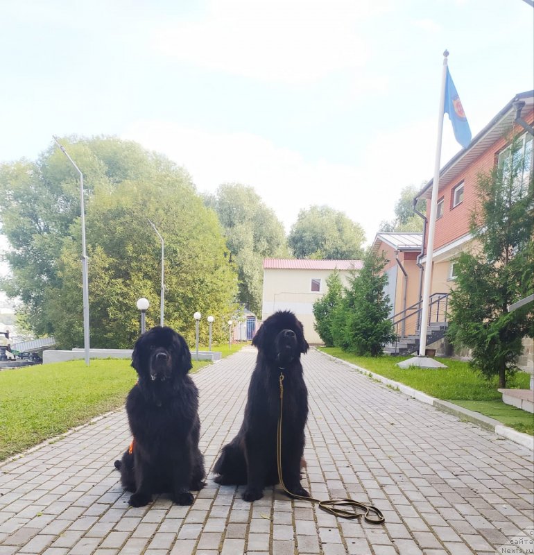 Фотография № 247423