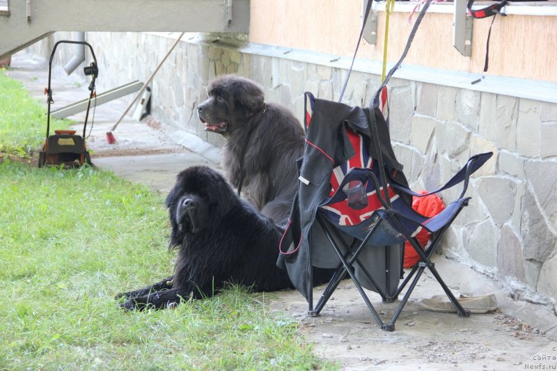 Фотография № 247447