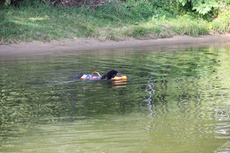 Фотография № 247457