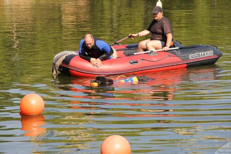 Фотография № 247459