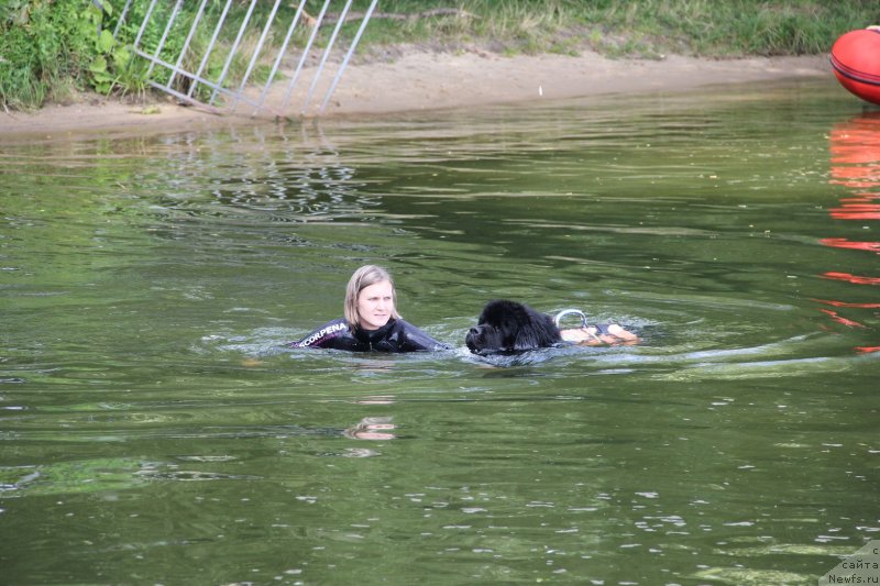 Фотография № 247482