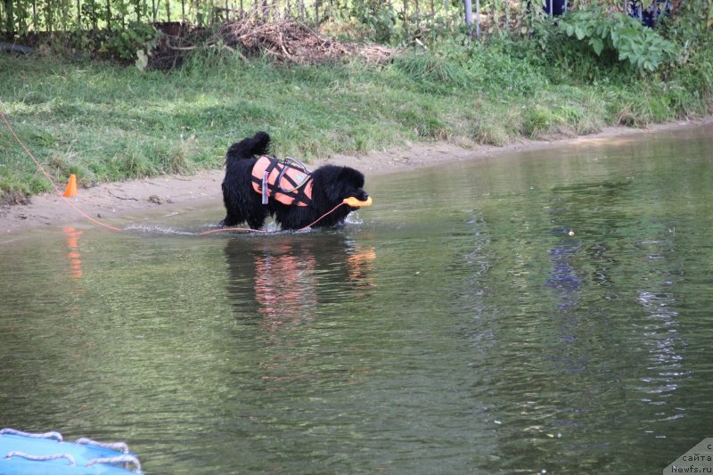 Фотография № 247483