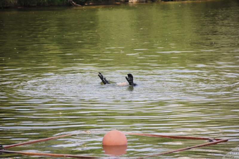 Фотография № 247484