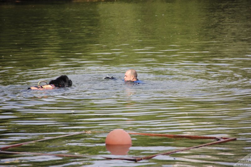 Фотография № 247485