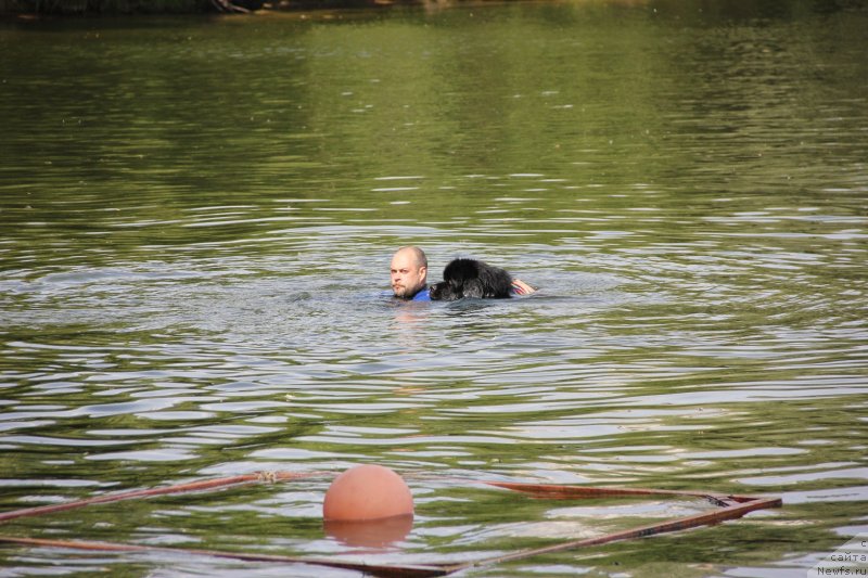 Фотография № 247486