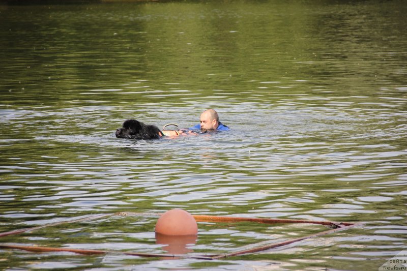 Фотография № 247487