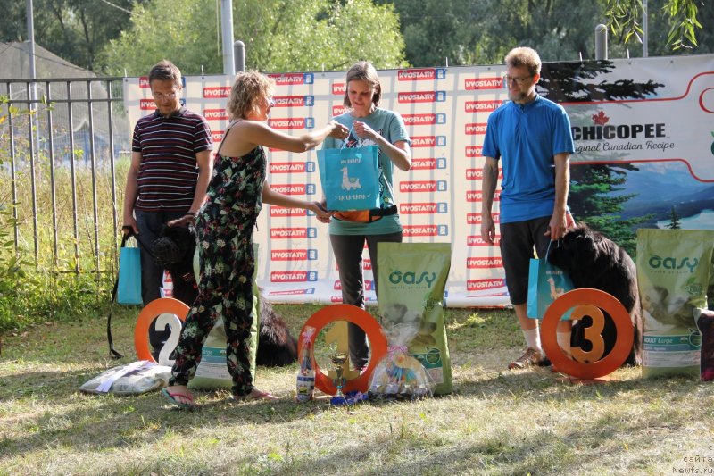 Фотография № 247492