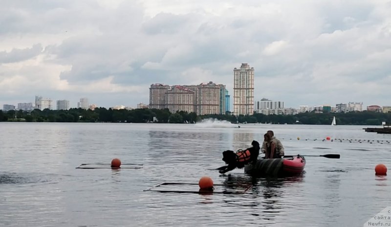 Фотография № 247495