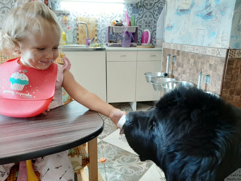 Фотография № 247496