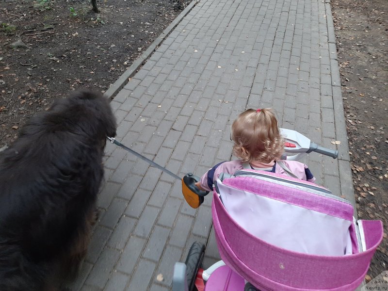 Фотография № 247497