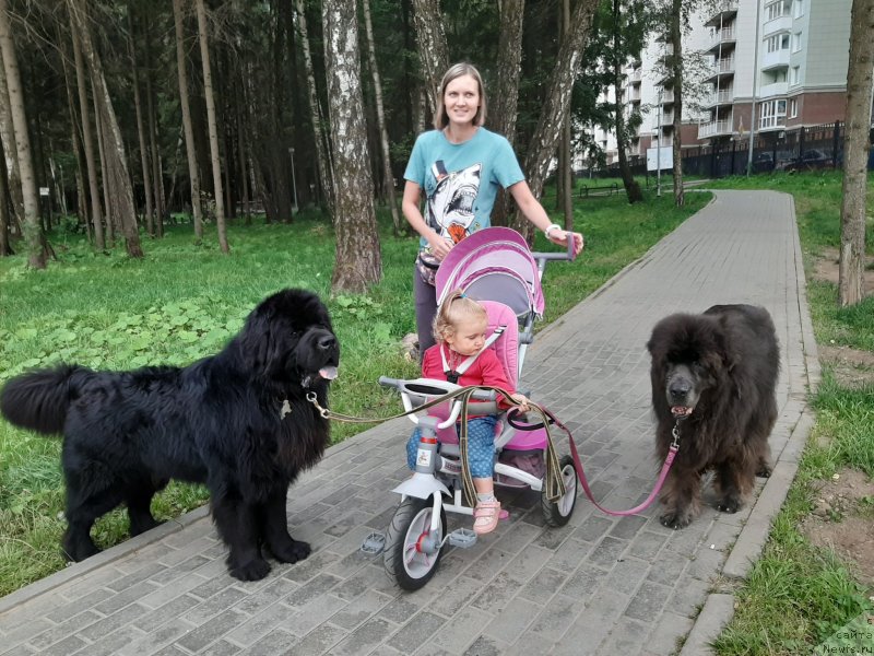 Фотография № 247500