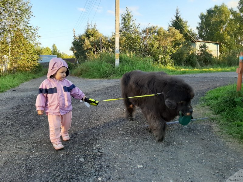 Фотография № 247502