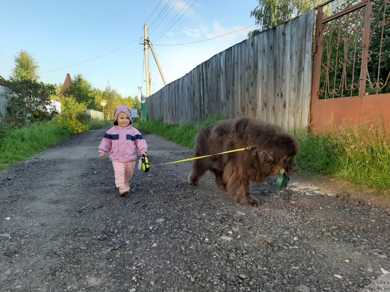 Фотография № 247504