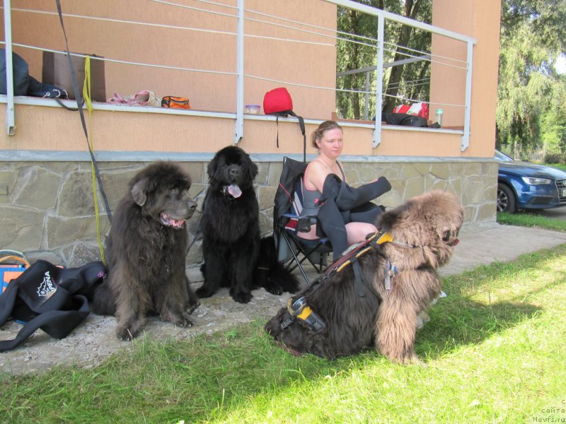 Фотография № 247508