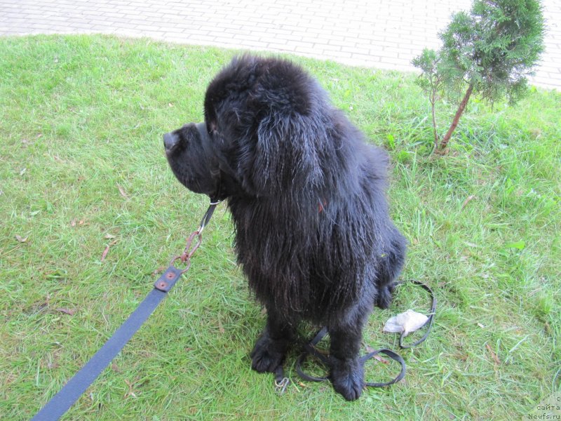 Фотография № 247510