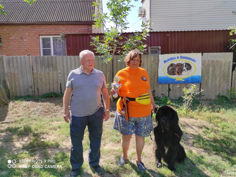 Фото: ньюфаундленд Даанич Веселый Роджер, Лилиана Рахматова