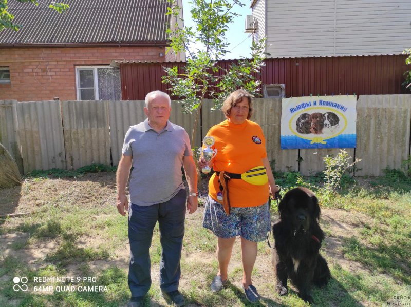 Фото: ньюфаундленд Даанич Веселый Роджер, Лилиана Рахматова