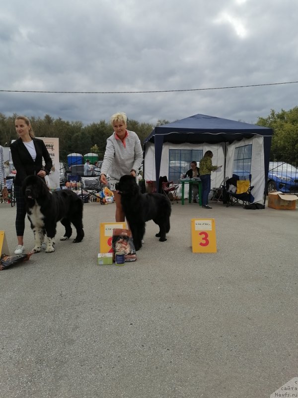 Фото: Есения Стюарт