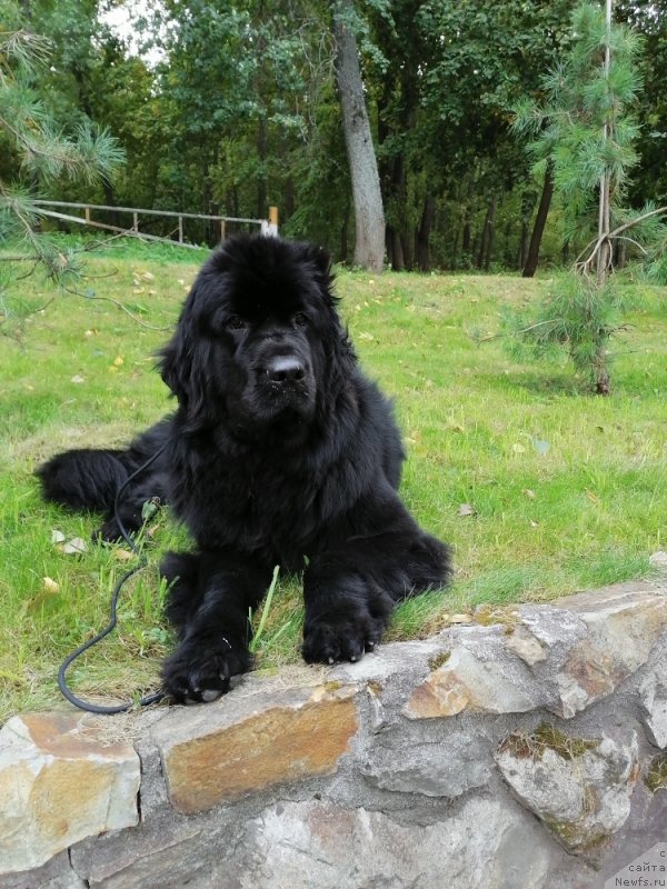 Фото: Есения Стюарт