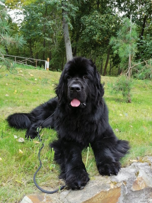 Фото: Есения Стюарт