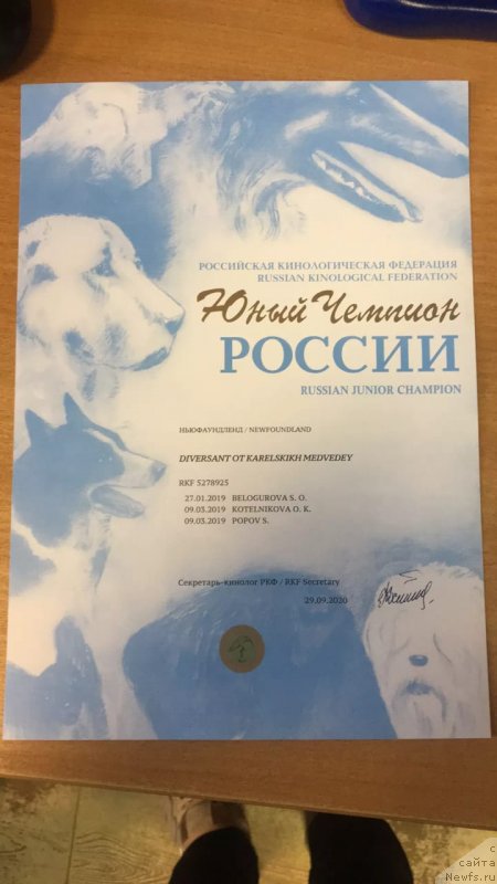 Фотография № 247578