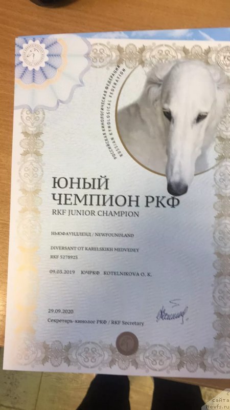 Фотография № 247580