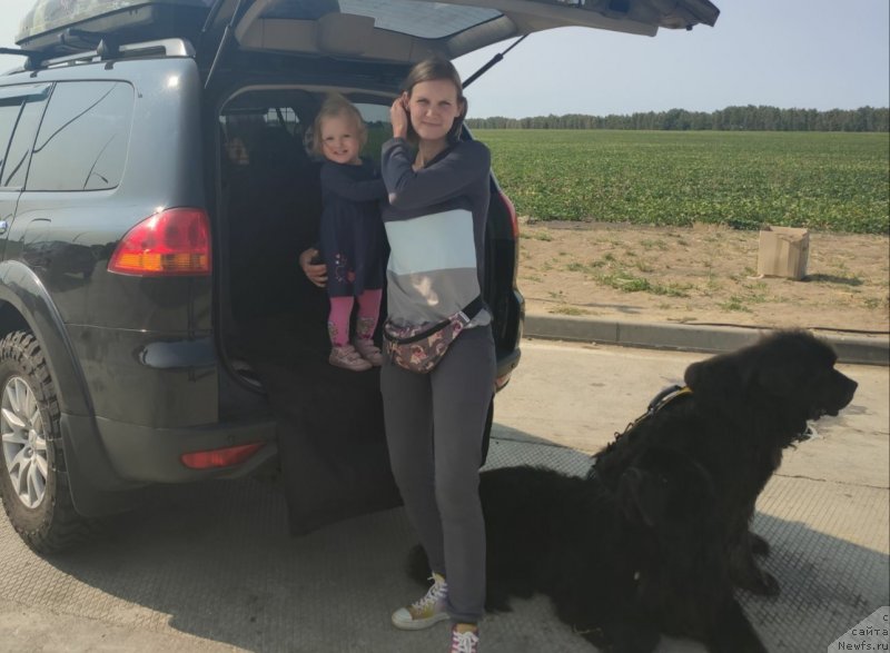 Фотография № 247595