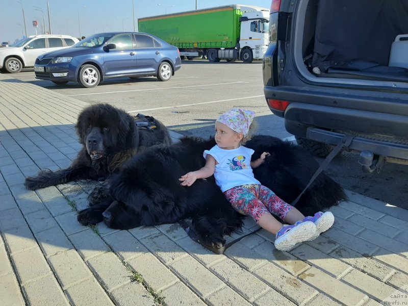 Фотография № 247596