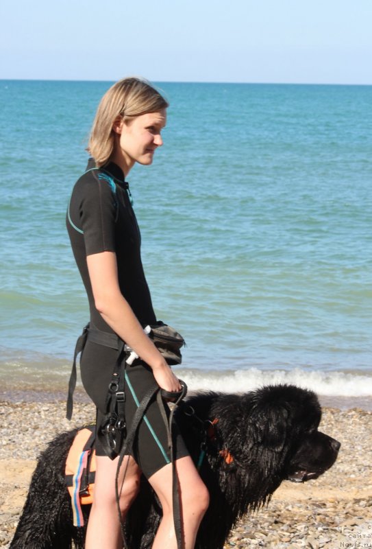 Фотография № 247600