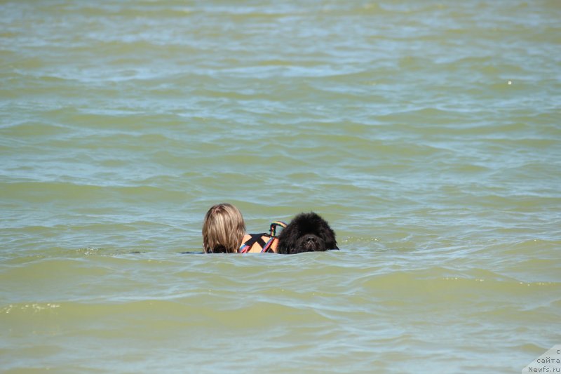 Фотография № 247605