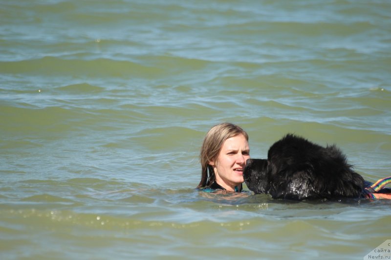 Фотография № 247607