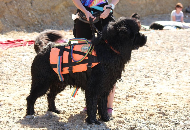 Фотография № 247608