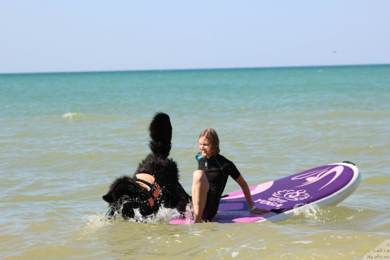 Фотография № 247610