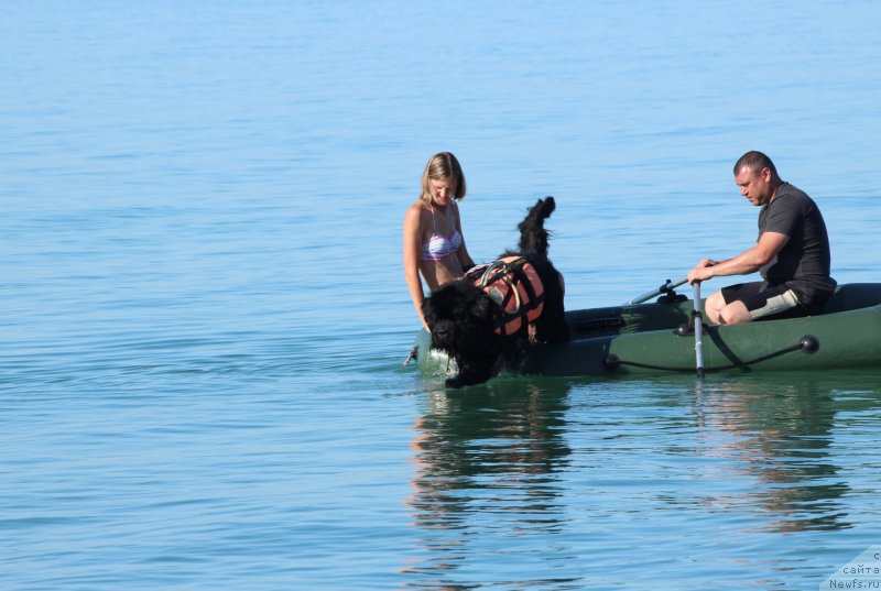 Фотография № 247619