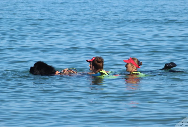 Фотография № 247620