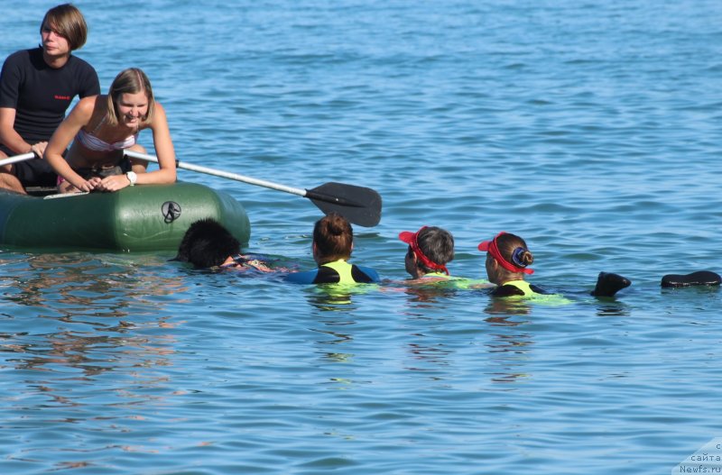 Фотография № 247621