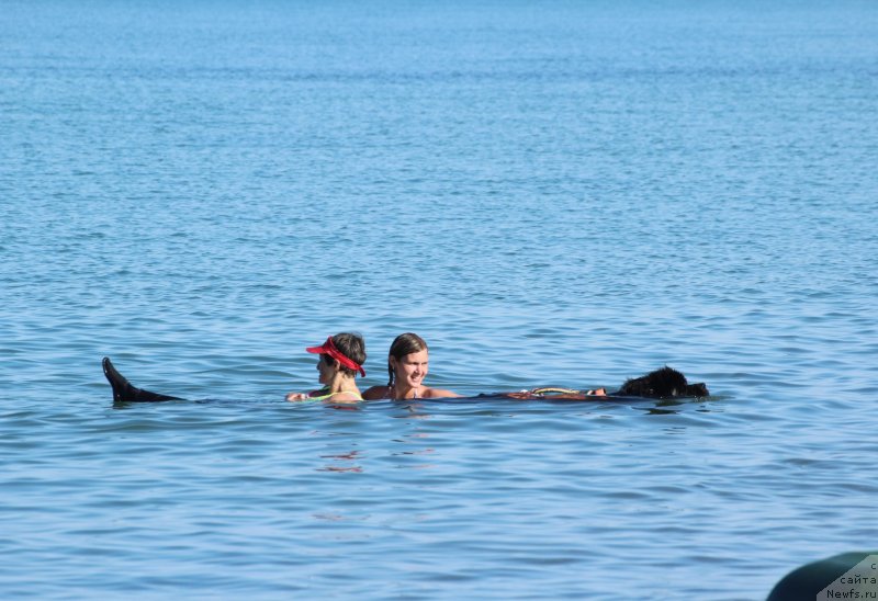 Фотография № 247623