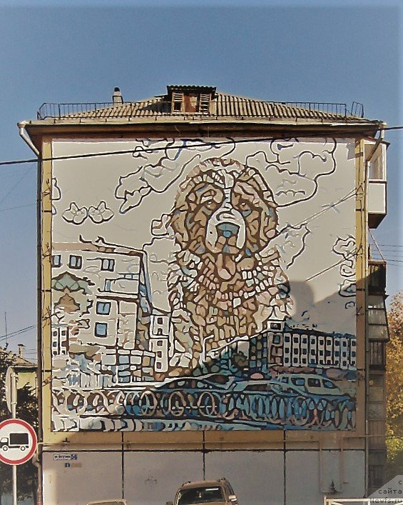 Фотография № 247625