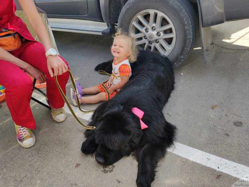 Фотография № 247628