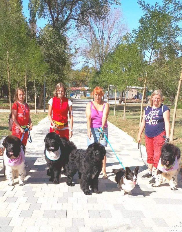 Фотография № 247631