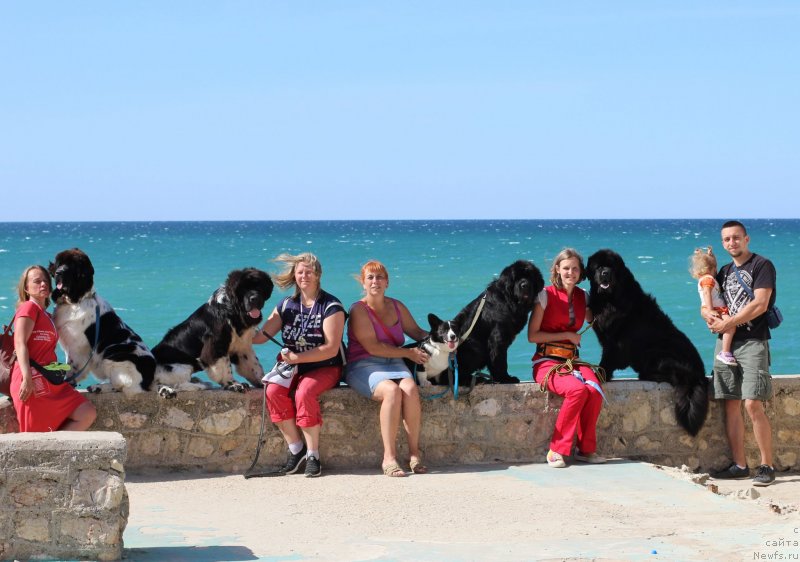 Фотография № 247632