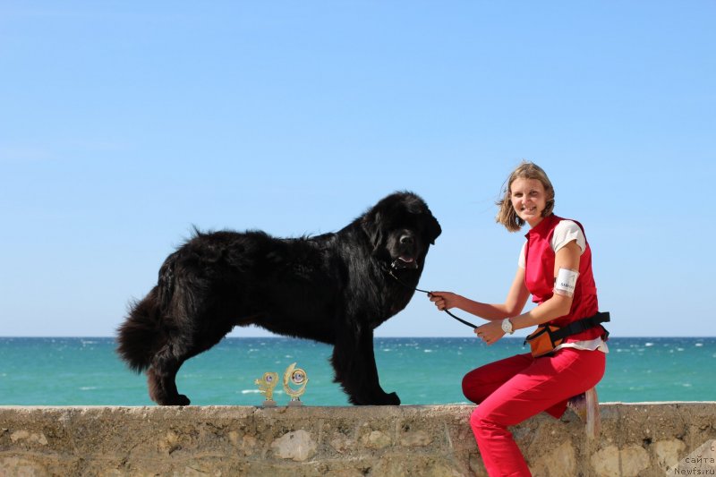 Фотография № 247636