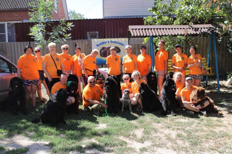 Фото: ньюфаундленд Даанич Веселый Роджер