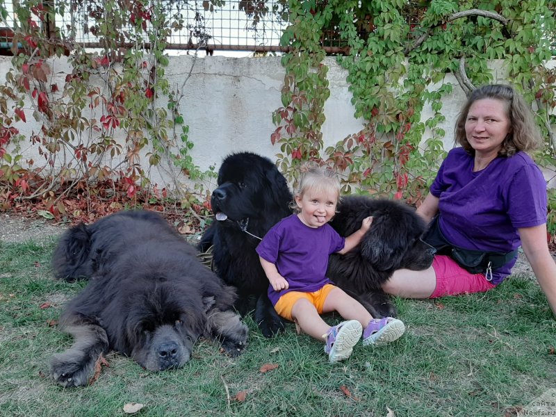 Фотография № 247646