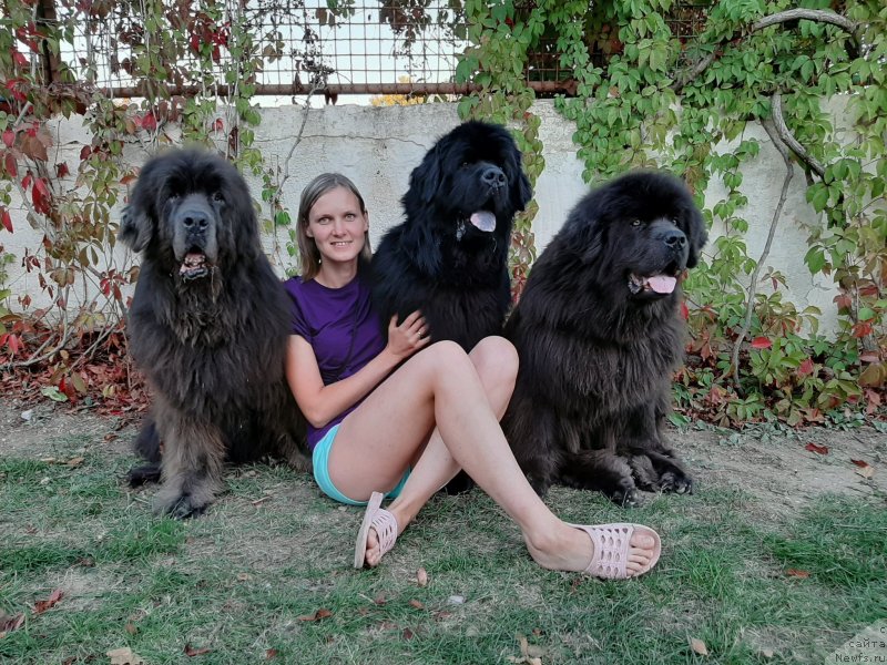 Фотография № 247647