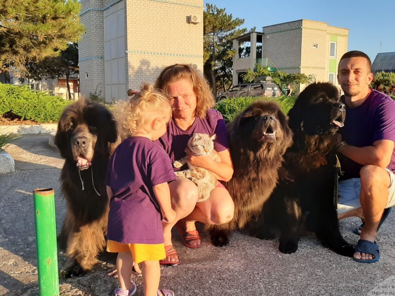 Фотография № 247650