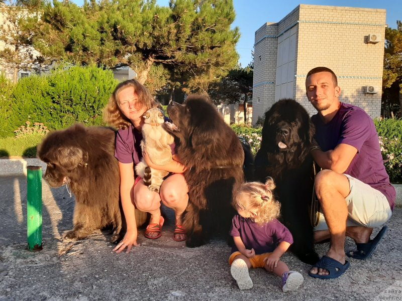 Фотография № 247651