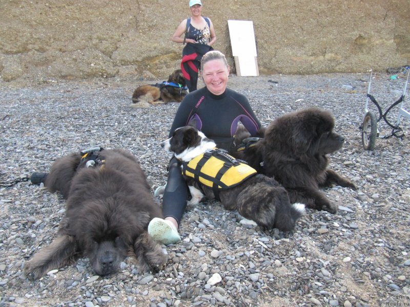 Фотография № 247662