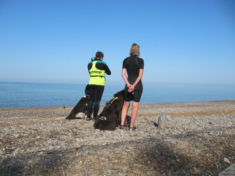 Фотография № 247663