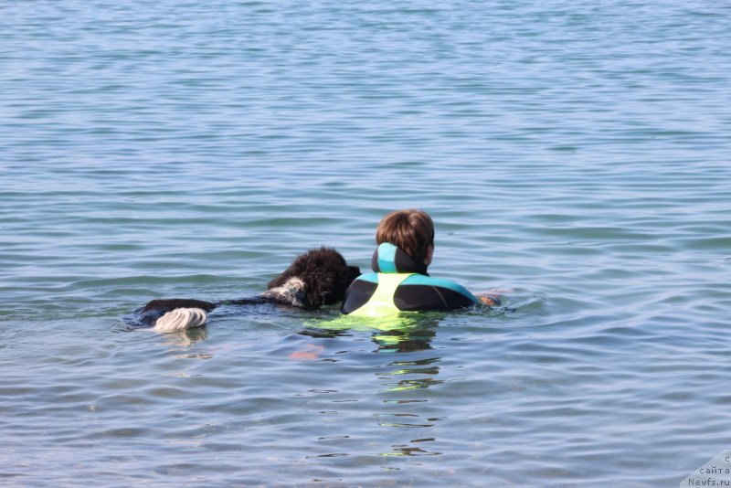 Фотография № 247668